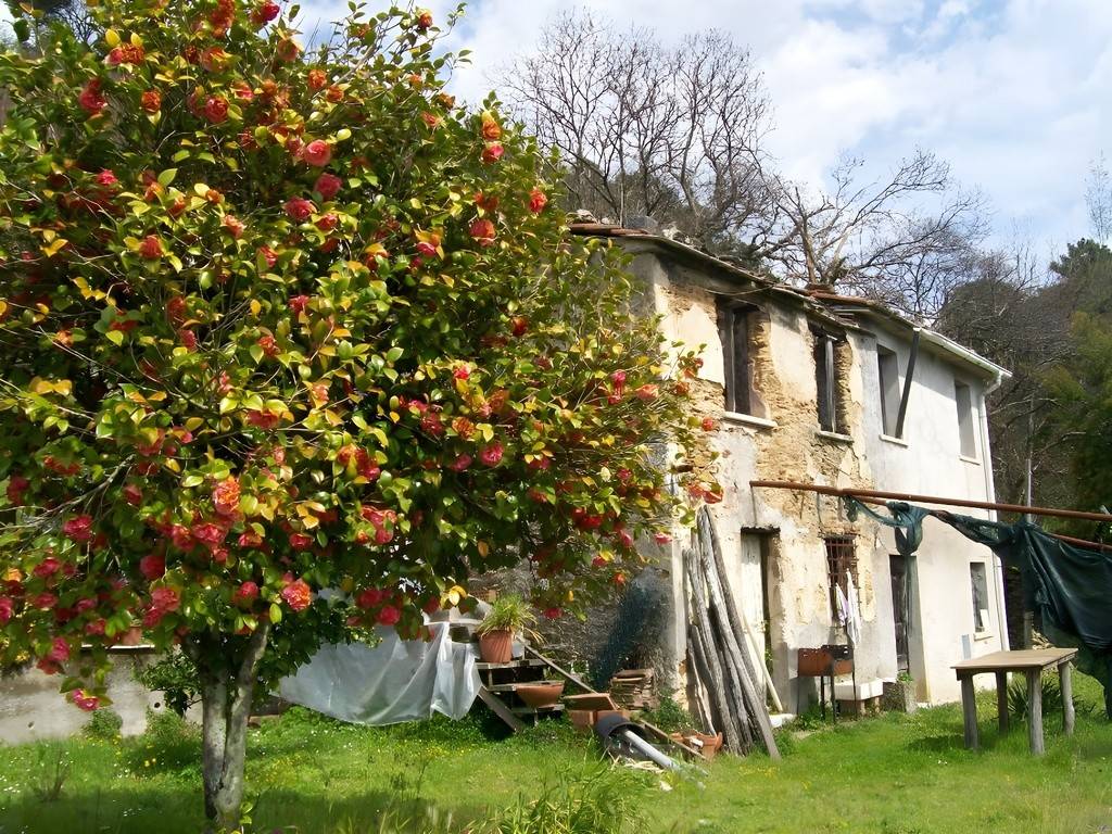 Rustico / casale a Seravezza in Via delle Salde - Foto 2