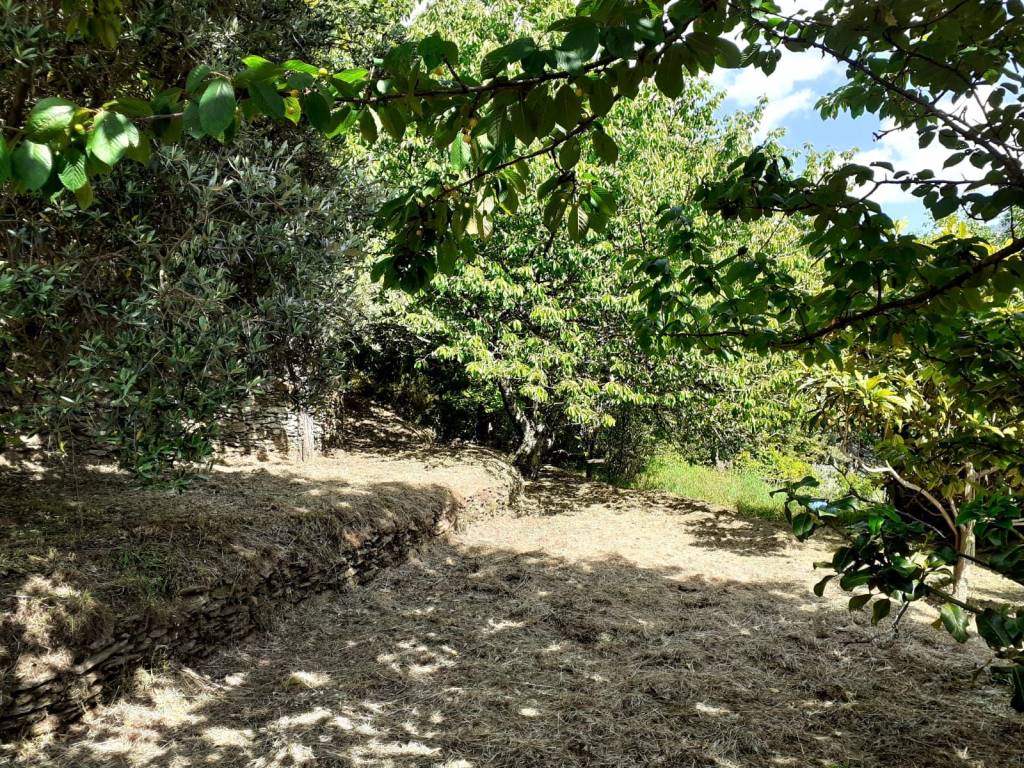 Rustico / casale a Seravezza in Via delle Salde - Foto 3