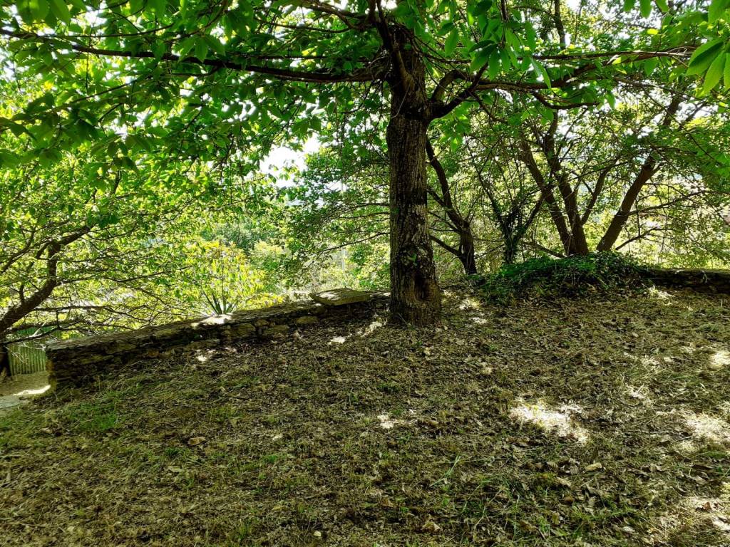 Rustico / casale a Seravezza in Via delle Salde - Foto 4