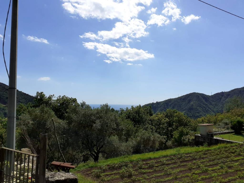 Rustico / casale a Seravezza in Via delle Salde - Foto 5