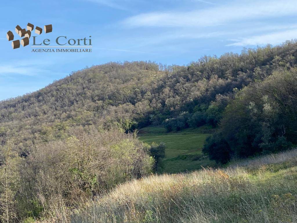 Terreno a Val liona - Foto 3