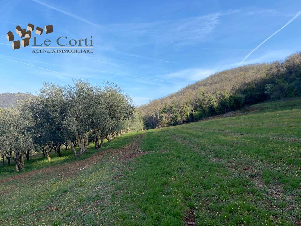 Terreno a Val liona - Foto 5