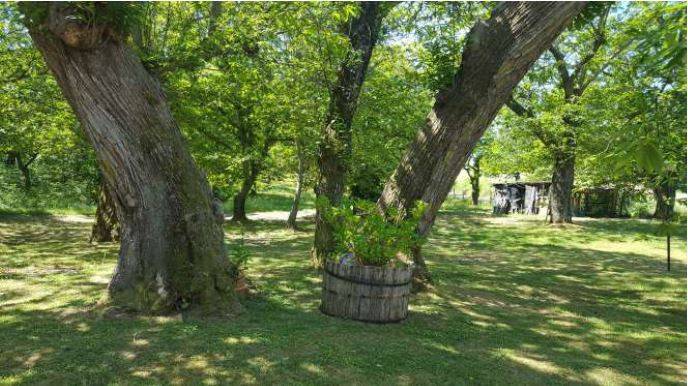 Villa a Arcidosso in Via della Torricella, 21 - Foto 3