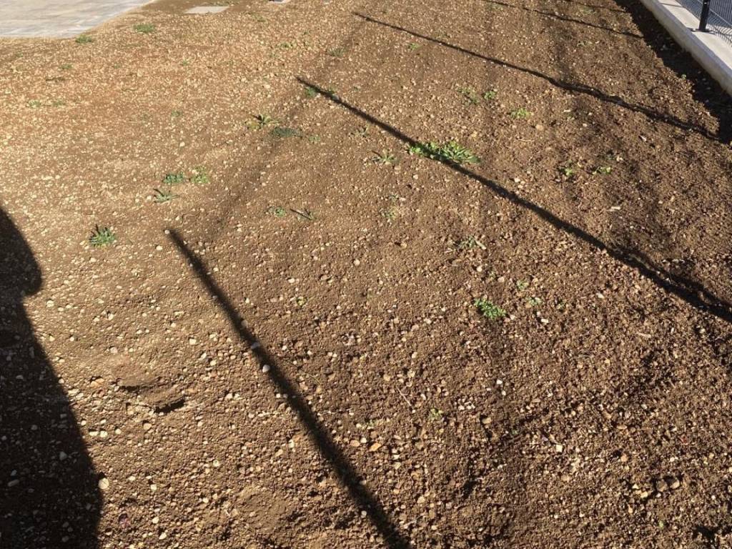 Appartamento a Bizzarone in Via Alessandro Volta - Foto 2
