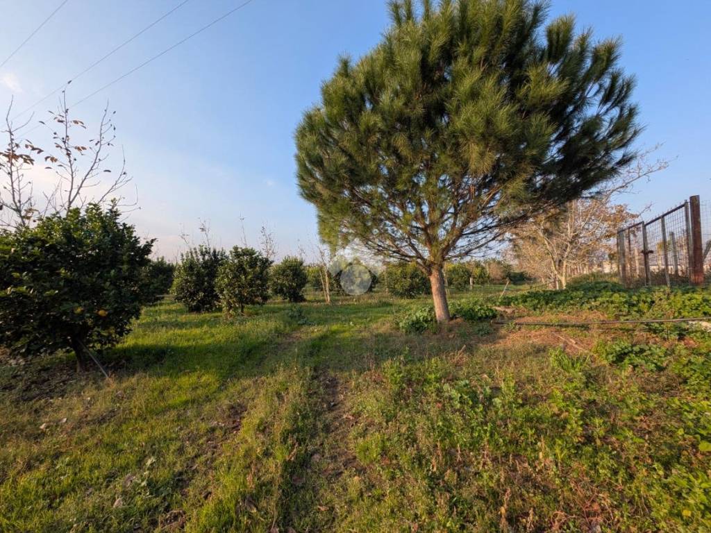 Terreno a Maddaloni in Via santa fede - Foto 4
