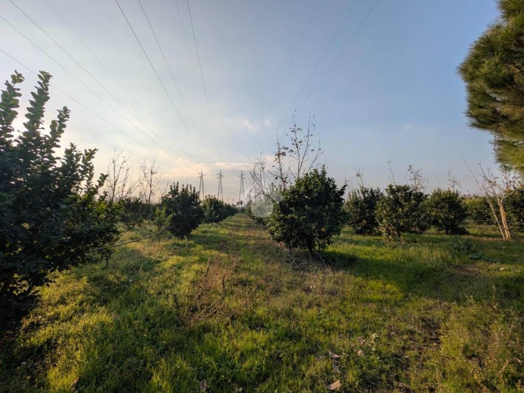 Terreno a Maddaloni in Via santa fede - Foto 5