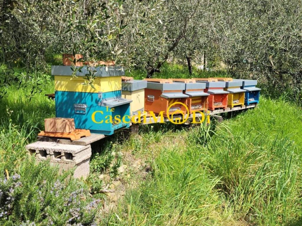 Terreno a Livorno - Foto 4