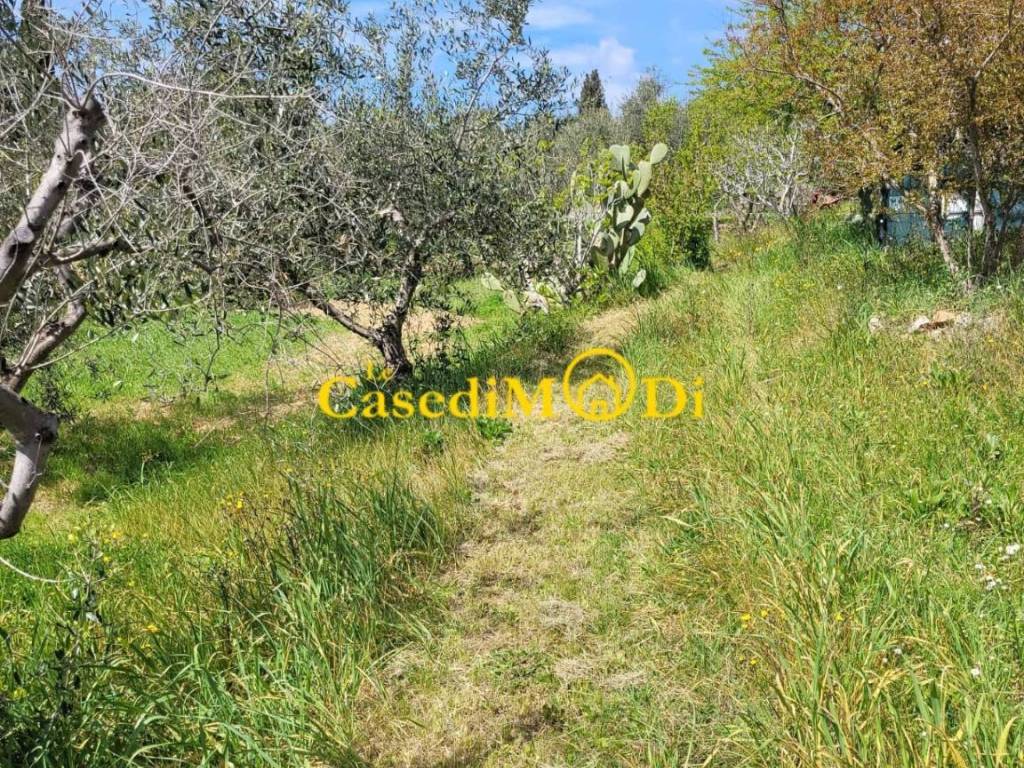 Terreno a Livorno - Foto 5