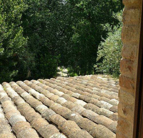 Rustico / casale a Fermo in Torre Di Palme 1 - Foto 5