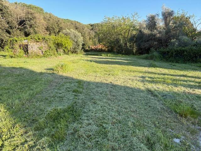 Terreno a Livorno in Via della Querciolaia - Foto 3