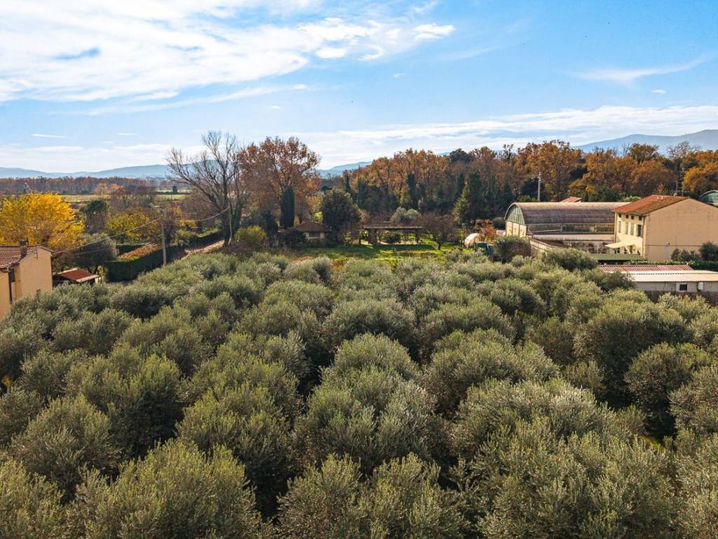 Villa a Prato in Via del Guanto - Foto 3