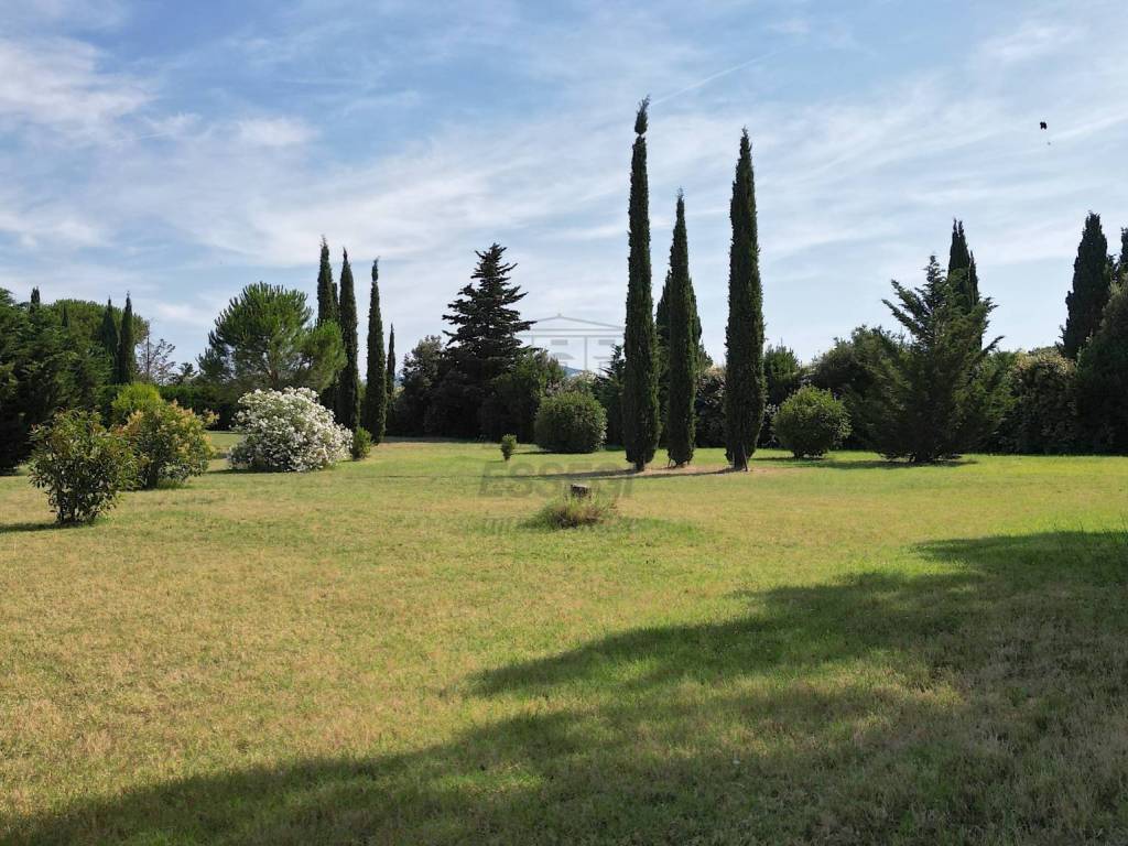 Rustico / casale a Cecina in Via Gorizia, 39 - Foto 4