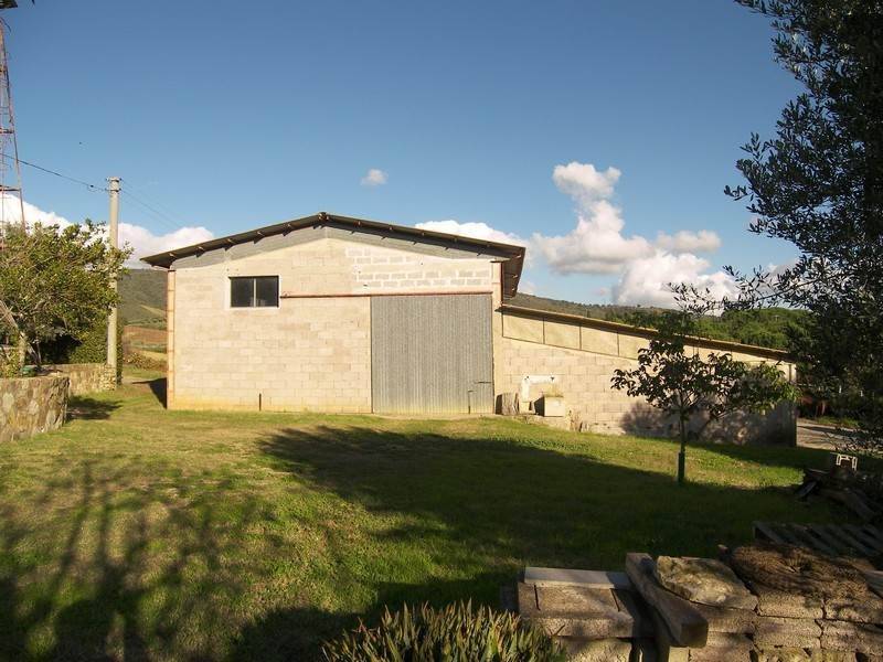 Terreno a Magliano in toscana - Foto 5