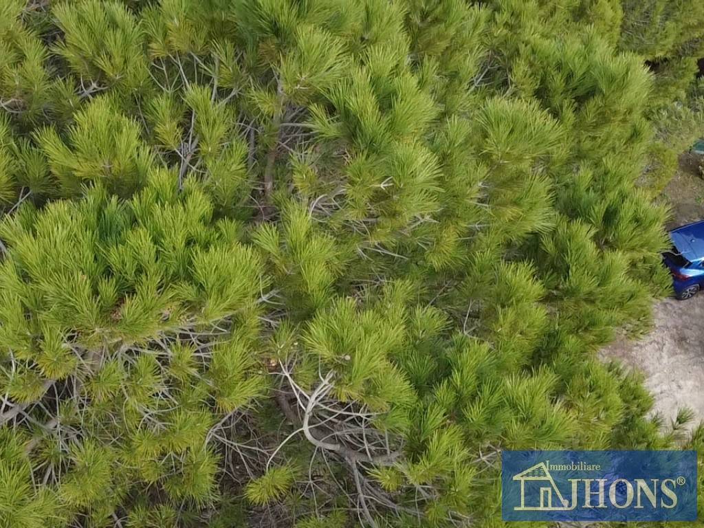 Terreno a Enna in contrada Baronessa - Foto 4