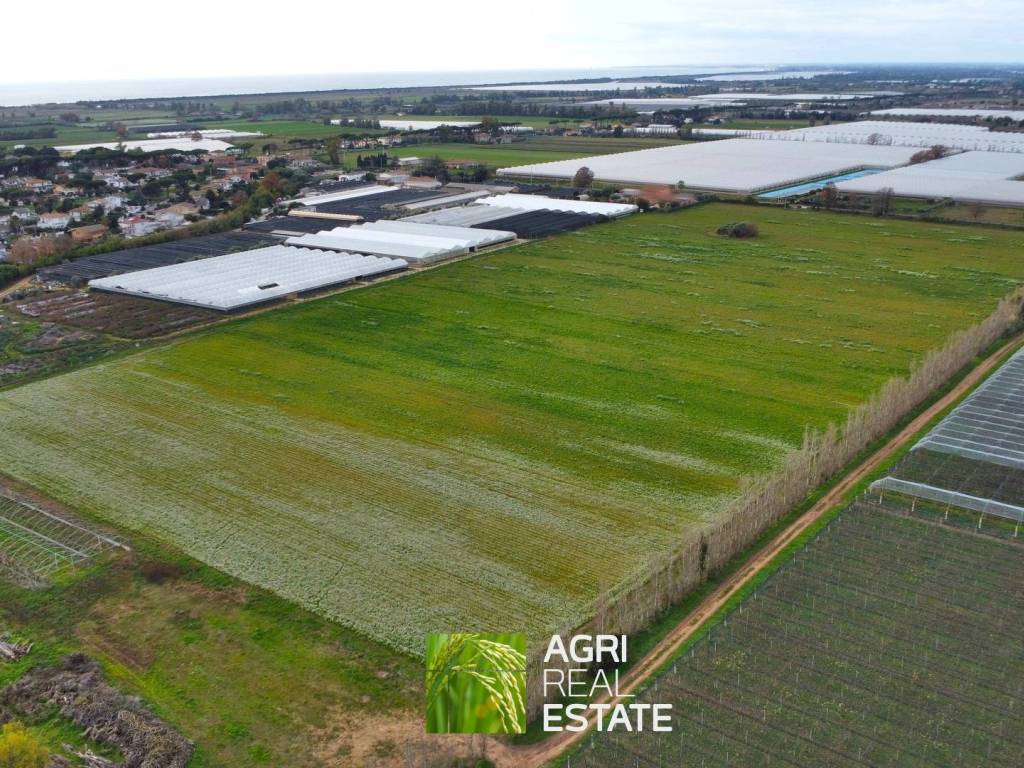 Terreno a Sabaudia in Via Migliara 47, 540 - Foto 3