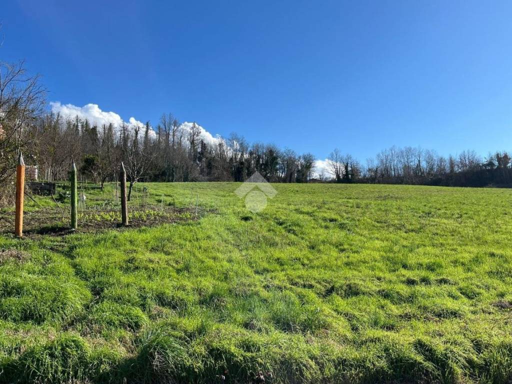 Rustico / casale a Dogliani in BORGATA SANTA LUCIA, 3 - Foto 4