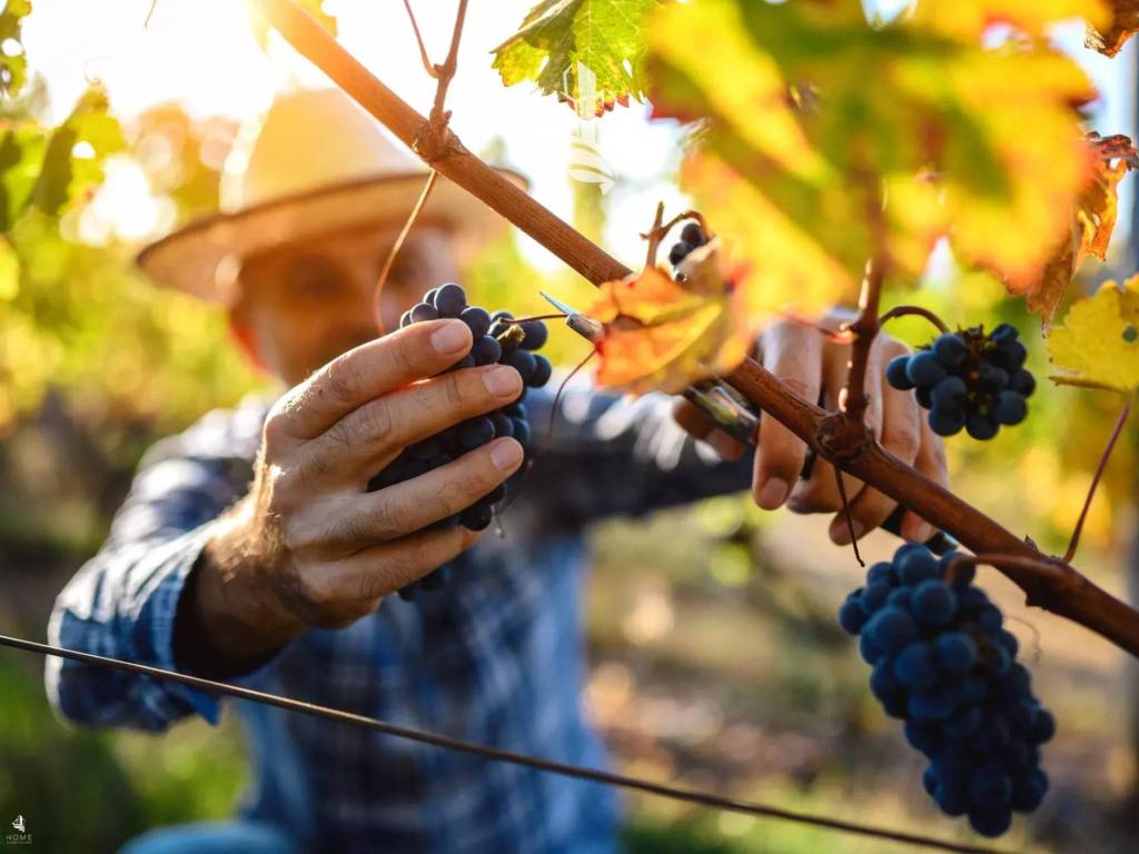 Terreno a Caldaro sulla strada del vino in Via Europa - Foto 5
