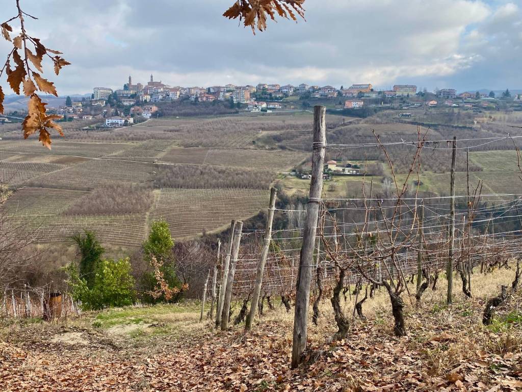 Terreno a Alba in Corso Langhe - Foto 2