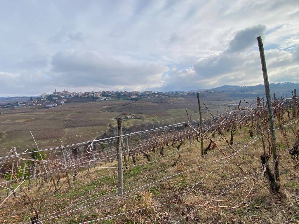 Terreno a Alba in Corso Langhe - Foto 5