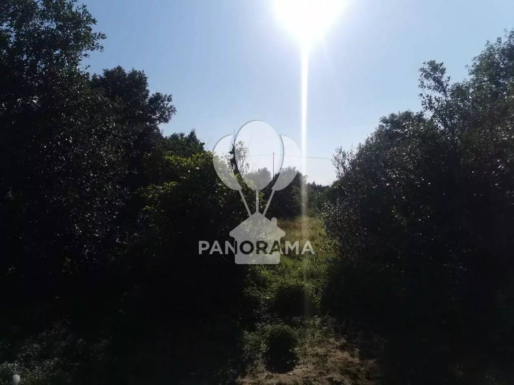 Terreno a Trappeto in Contrada San Cataldo - Foto 3