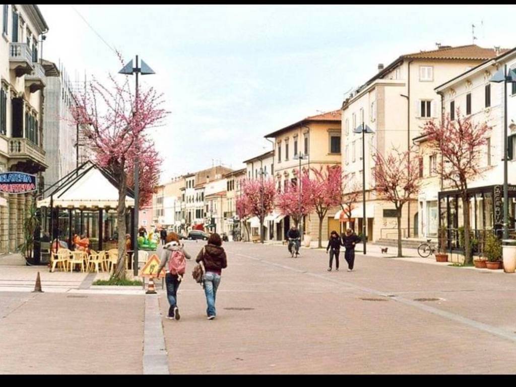 Immobile a Cecina - Foto 2