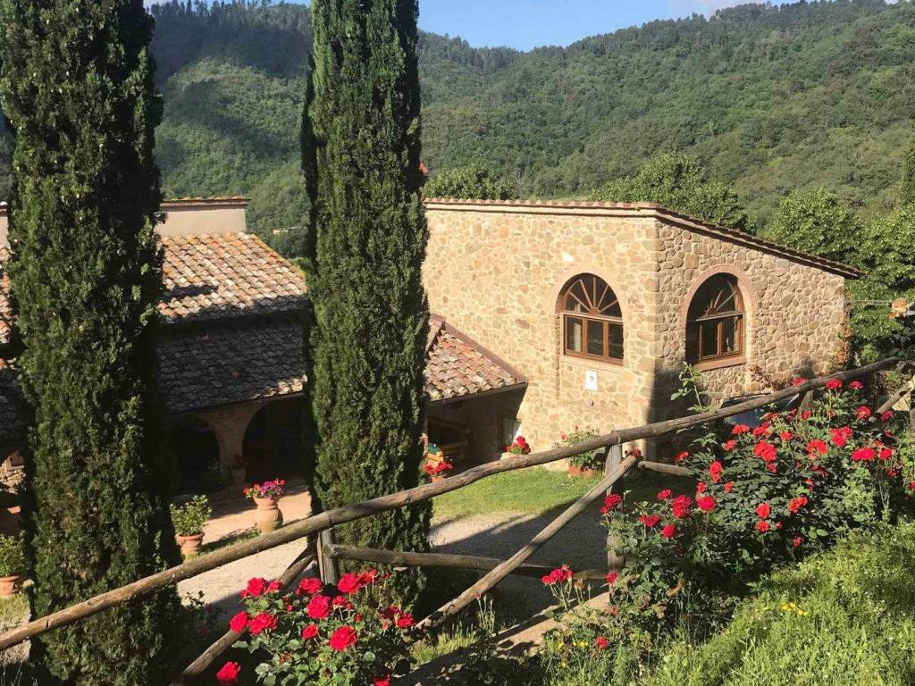 Rustico / casale a Gaiole in chianti in Via Bettino Ricasoli, 40 - Foto 5