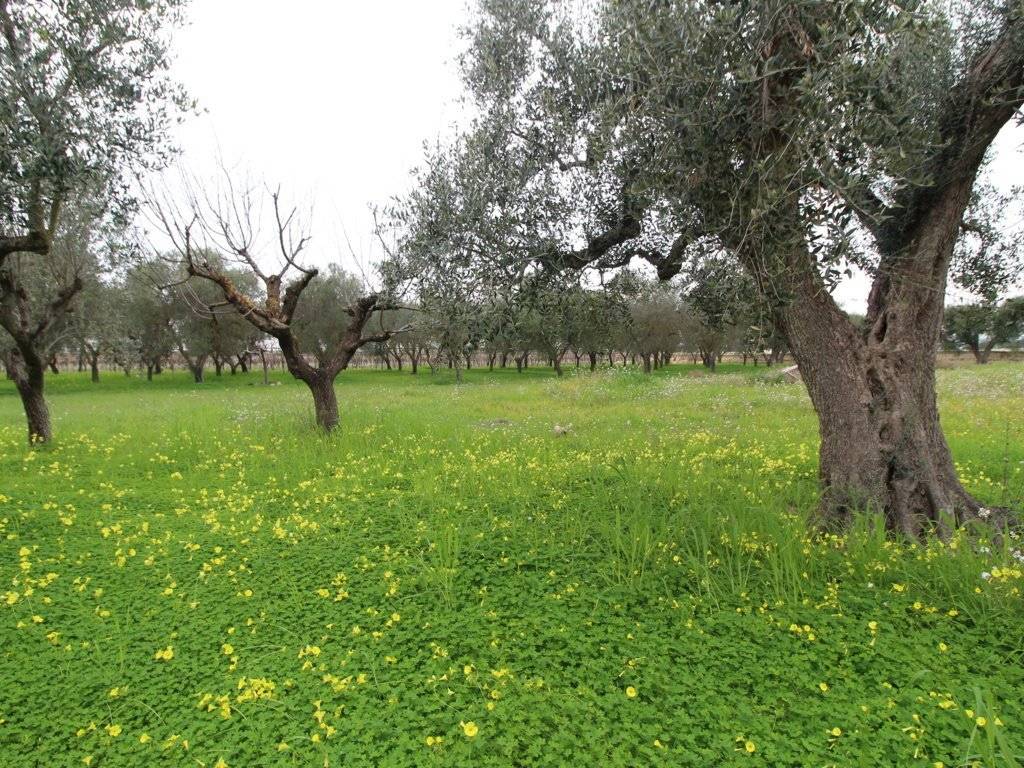 Villa a Grottaglie in Strada Comunale Esterna delle Pastane - Foto 5