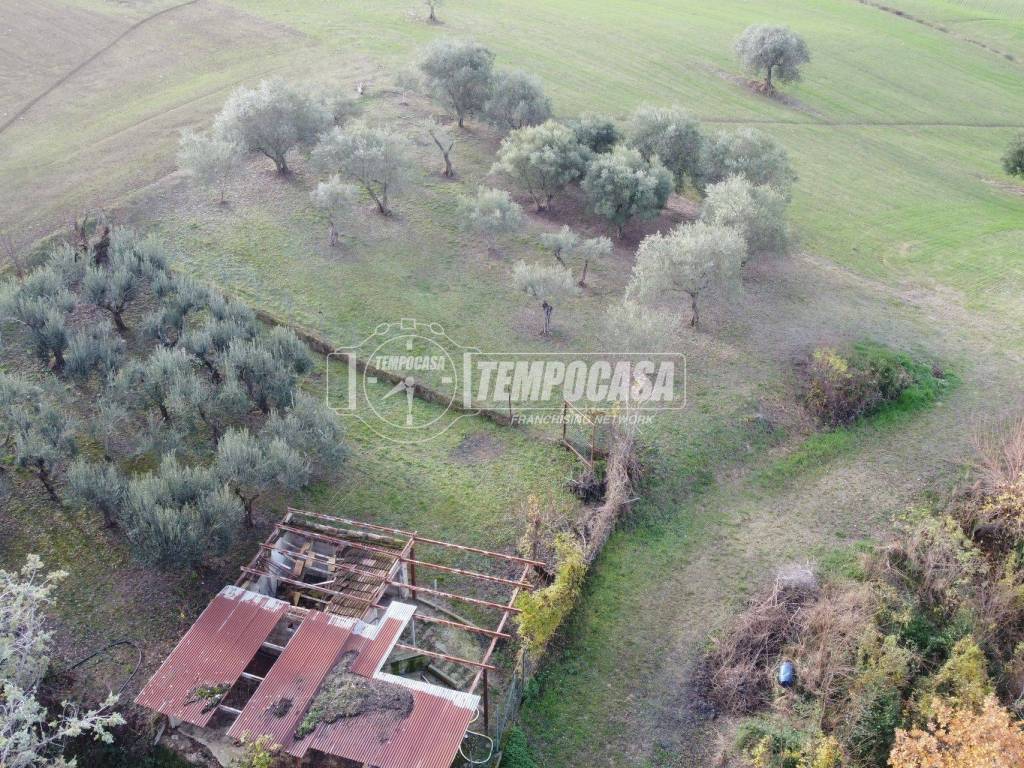 Terreno a Tolentino in Divina Pastora - Foto 2