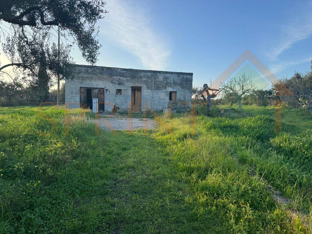 Rustico / casale a Monopoli in Contrada Conchia - Foto 4