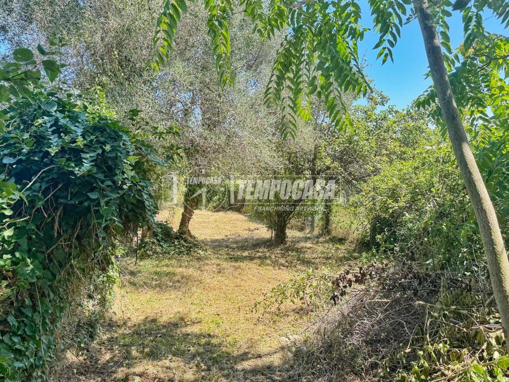 Casa indipendente a Montemarciano in Via Oliveto - Foto 5