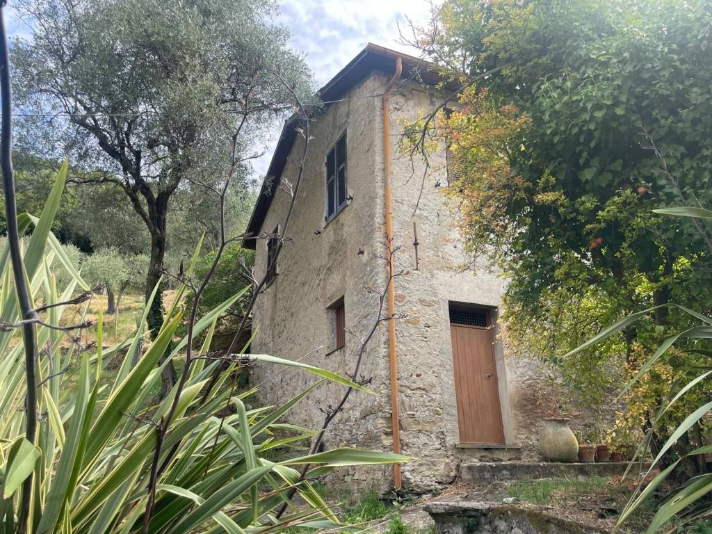 Terreno a Carasco in Via Chiesa - Foto 4