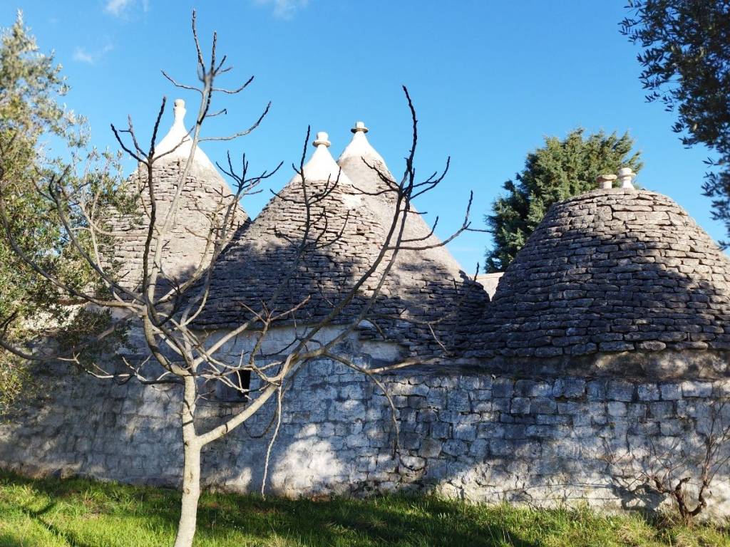 Rustico / casale a Ostuni in Martellotti - Foto 3