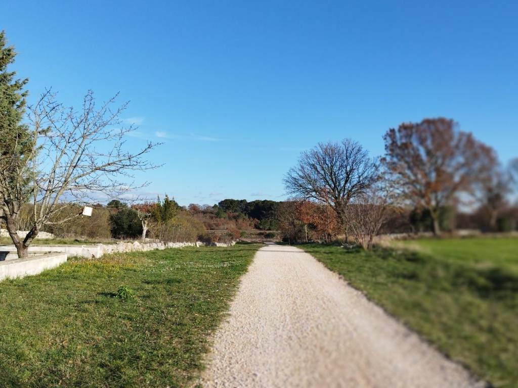 Rustico / casale a Ostuni in Martellotti - Foto 5