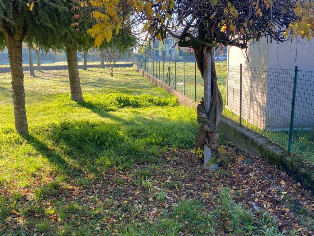 Terreno a Mantova in Via Cesare Boldrini - Foto 4