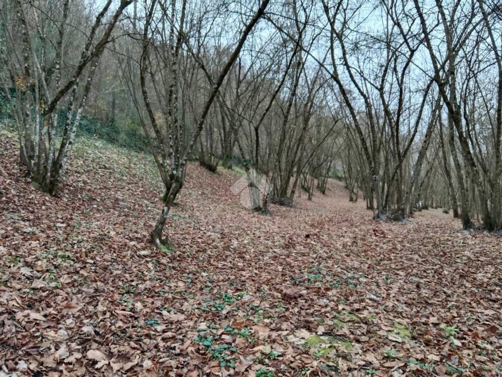 Terreno a Manocalzati in Via SAN PRISCO - Foto 3