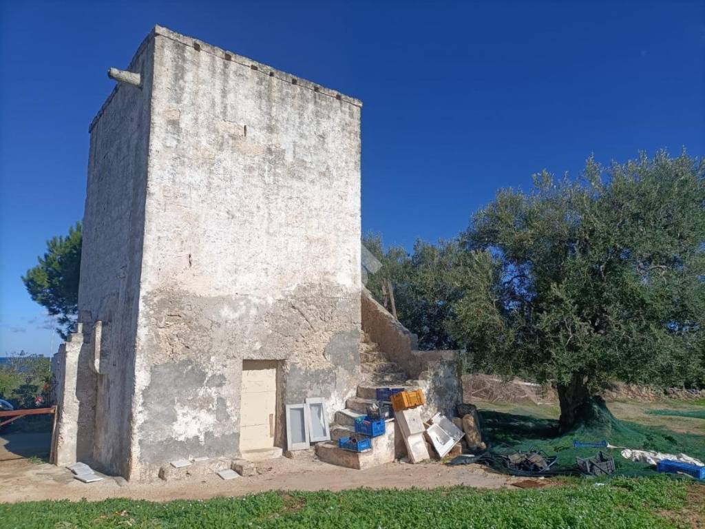 Terreno a Mola di bari in CONTRADA SAN GIOVANNI - Foto 2