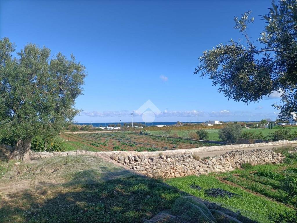 Terreno a Mola di bari in CONTRADA SAN GIOVANNI - Foto 4