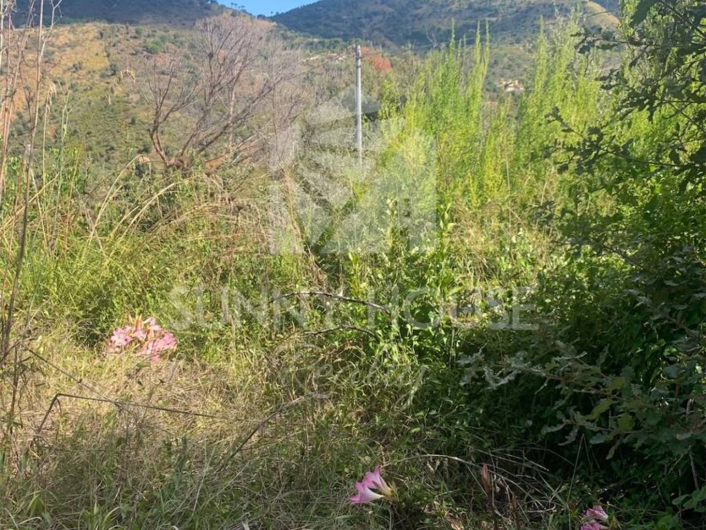 Terreno a Gratteri in Contrada Campella - Foto 2