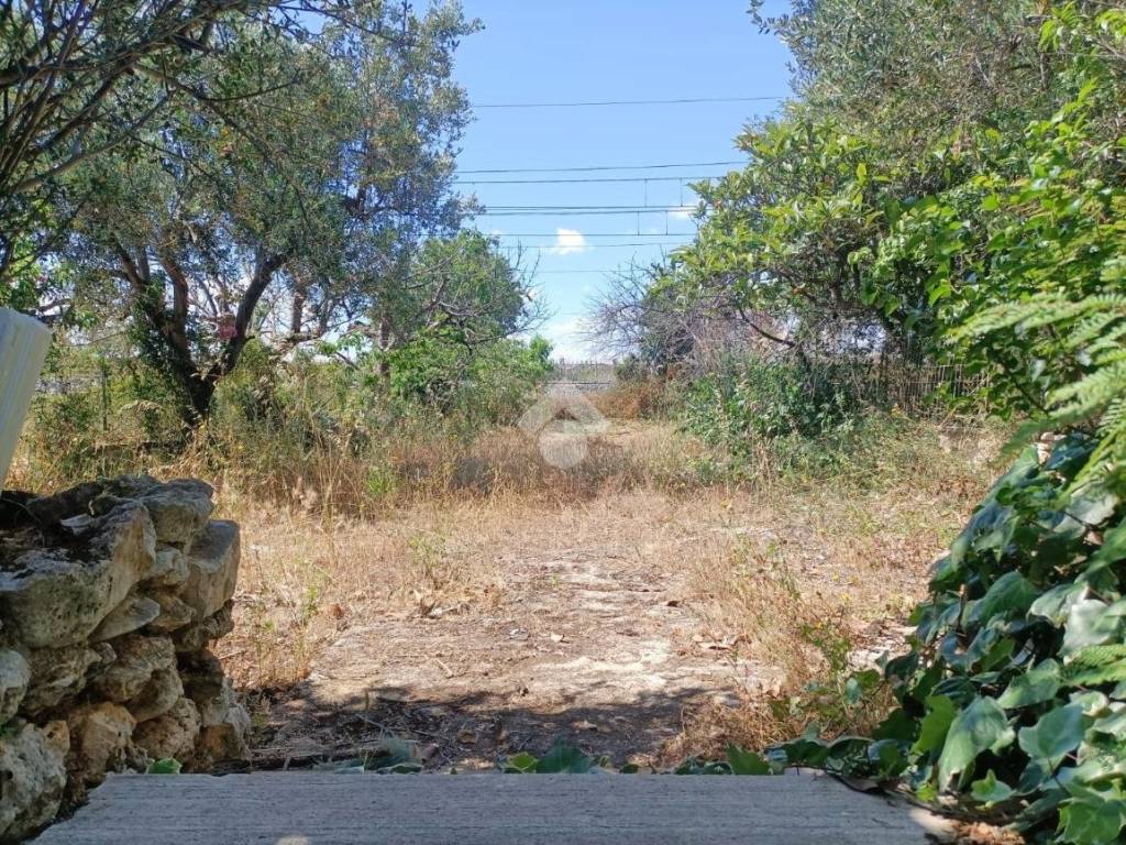 Villa a Mola di bari in CONTRADA SANT'EGIDIO - Foto 5