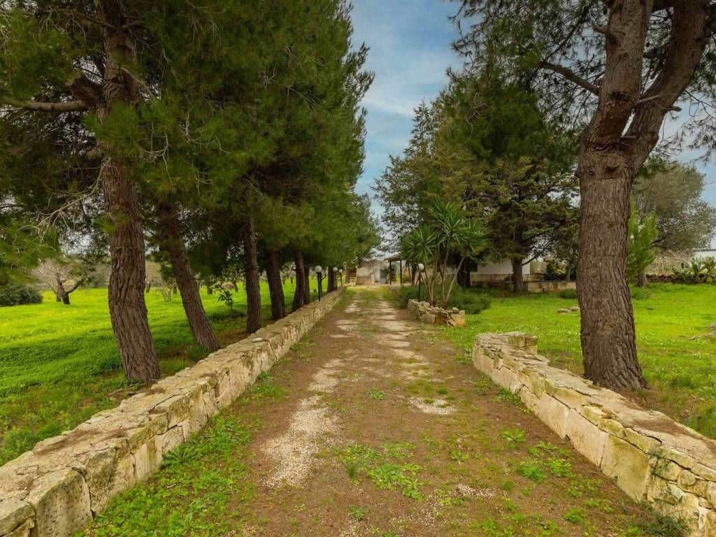 Villa a Ostuni in CONTRADA ACQUARELLA - Foto 3