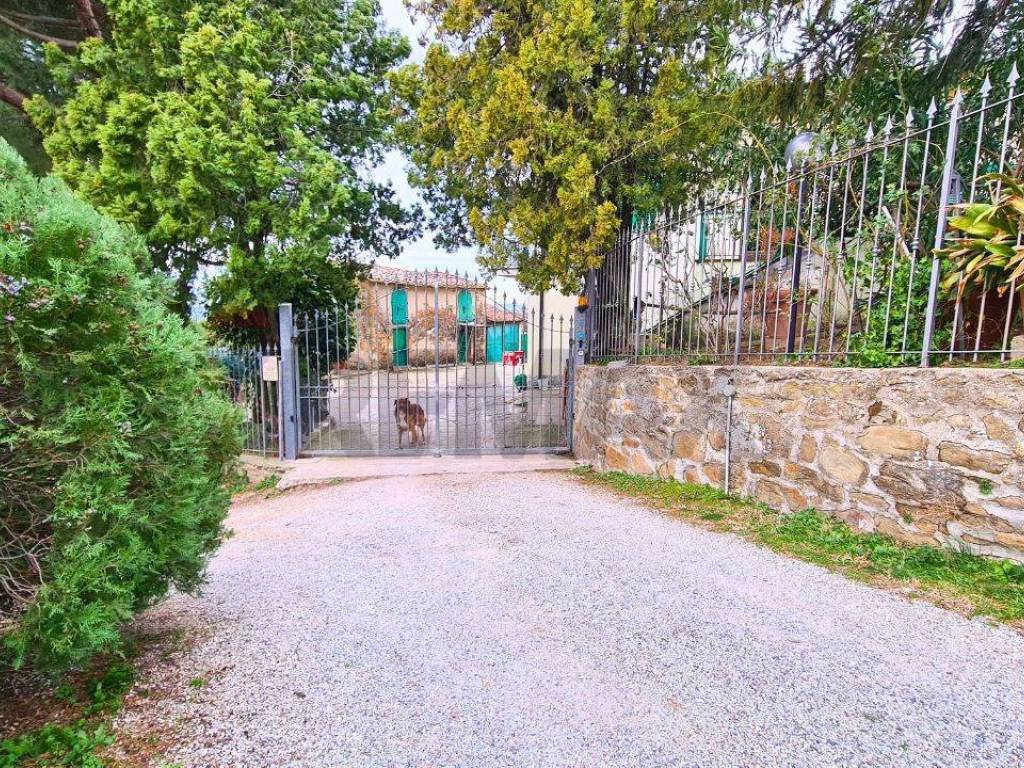 Rustico / casale a Vinci in Via Di S.Amato, 15 - Foto 2