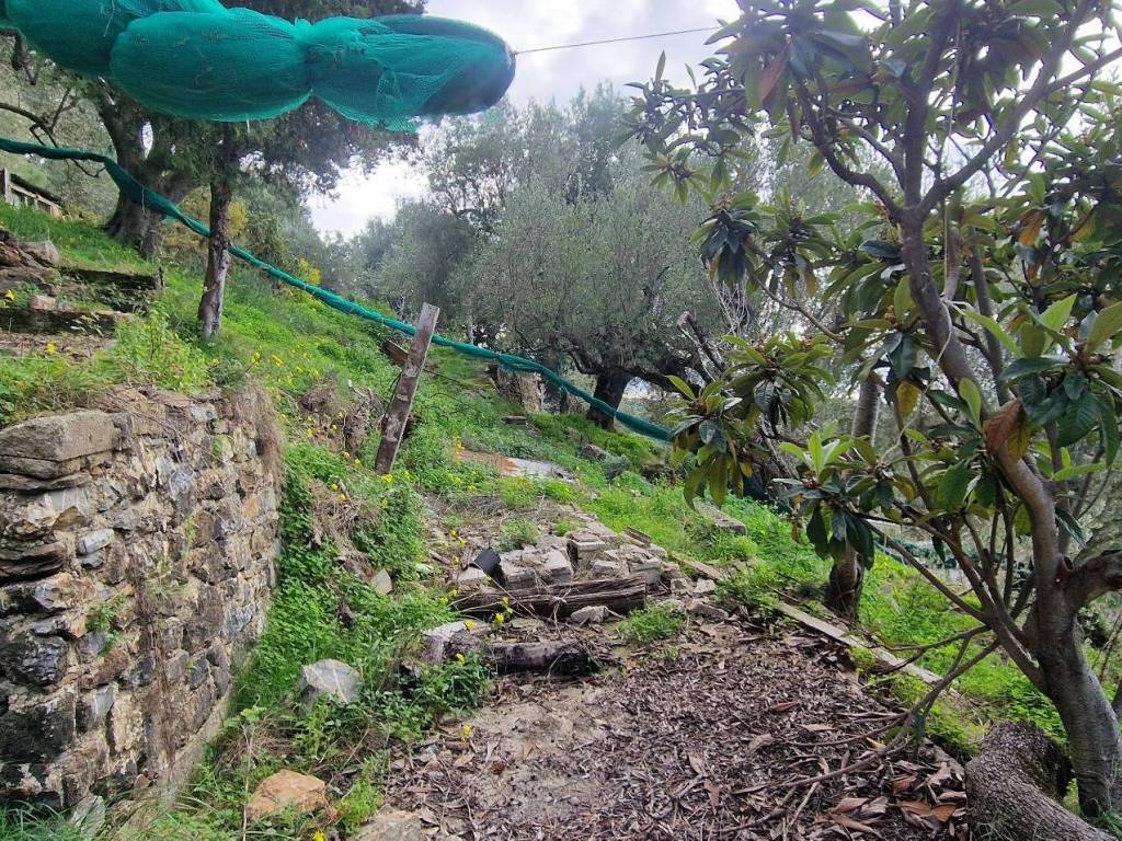 Rustico / casale a Ascea in Via 24 Maggio, 91 - Foto 4