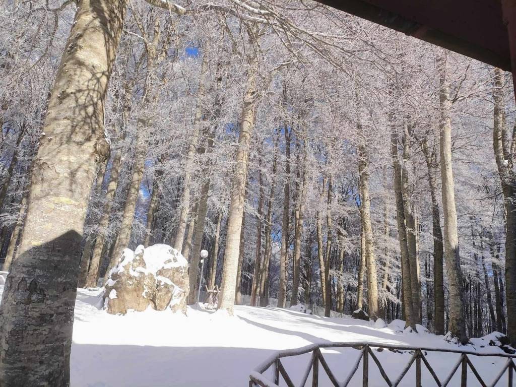 Appartamento a Semproniano in Via Borgo - Foto 3