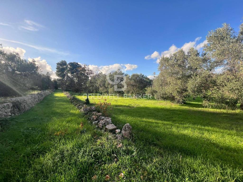 Terreno a Ostuni in Contrada Boccadoro - Foto 3