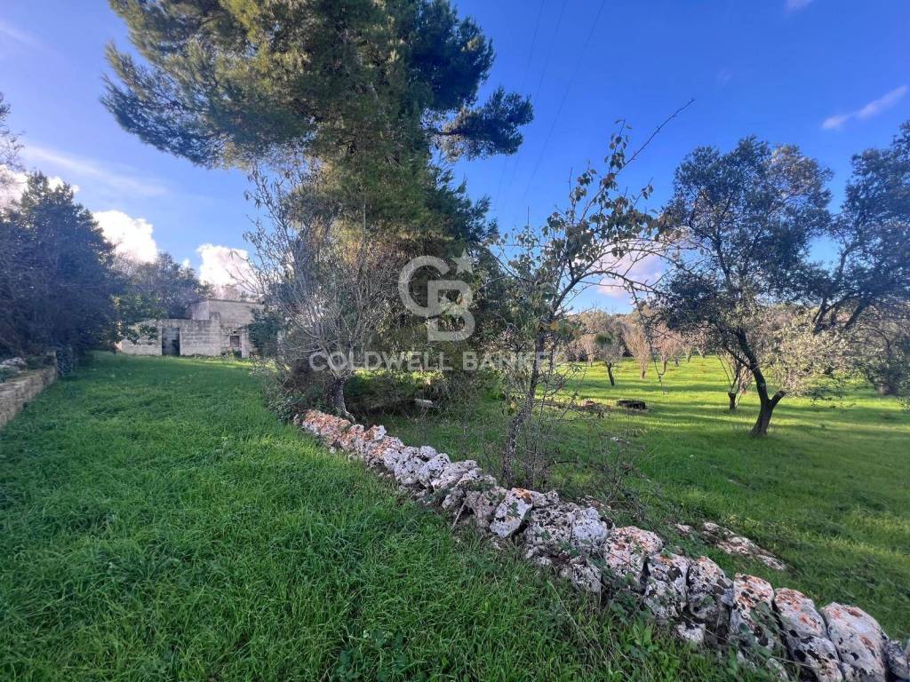 Terreno a Ostuni in Contrada Boccadoro - Foto 4
