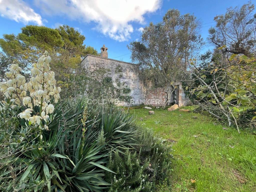 Terreno a Ostuni in Contrada Boccadoro - Foto 5