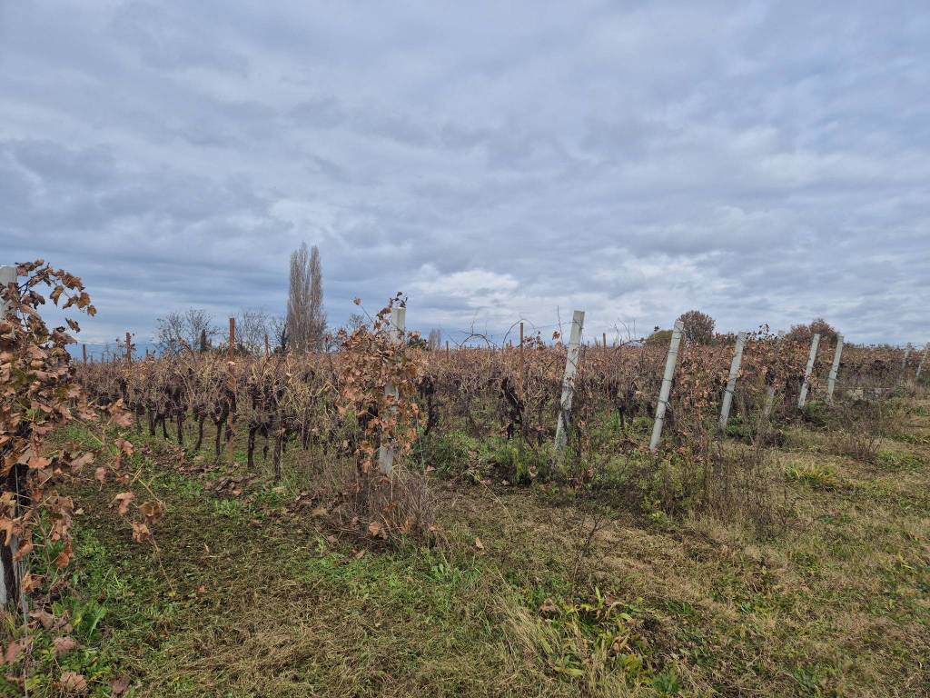 Terreno a Lazise in Località Grisa - Foto 3