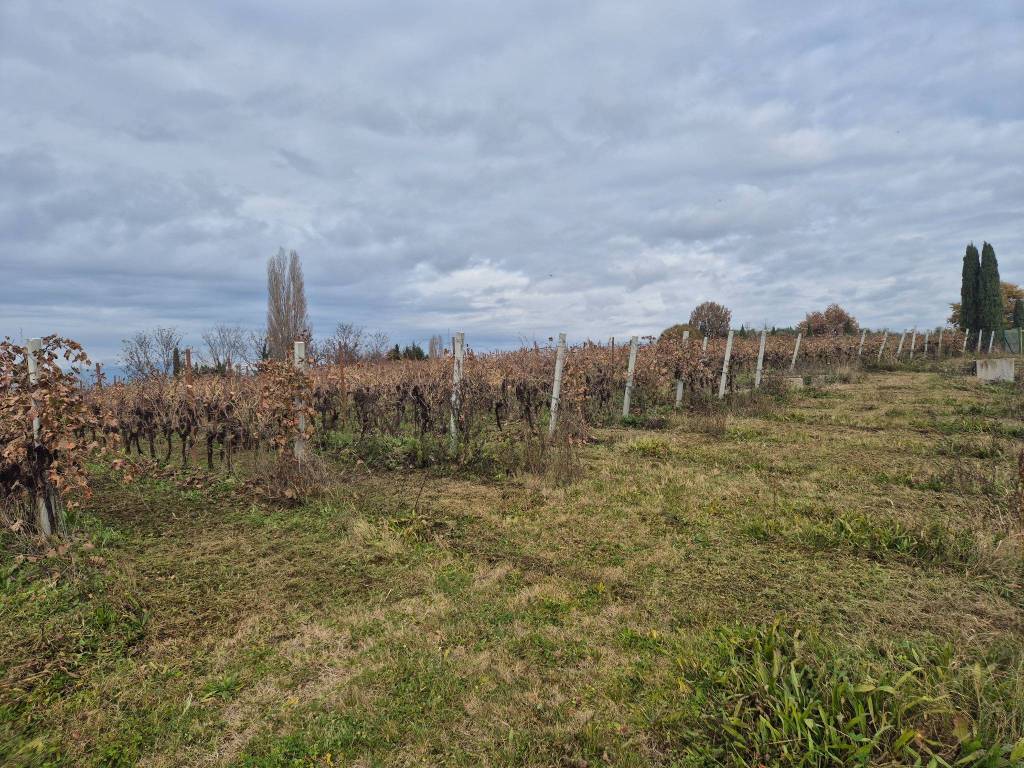 Terreno a Lazise in Località Grisa - Foto 4