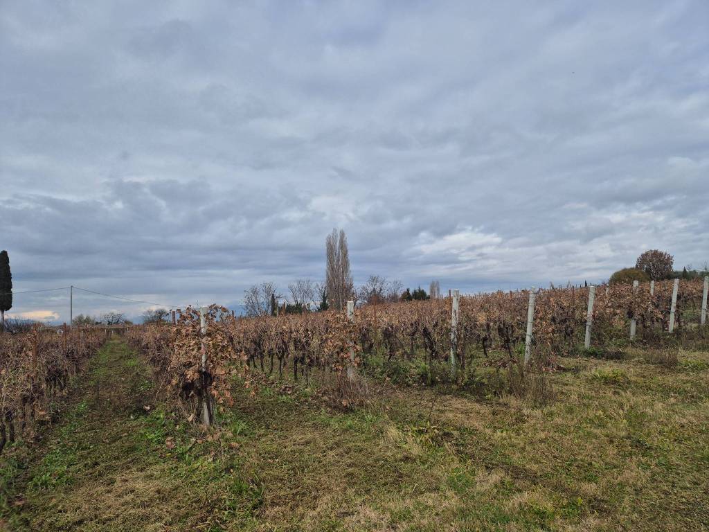 Terreno a Lazise in Località Grisa - Foto 5