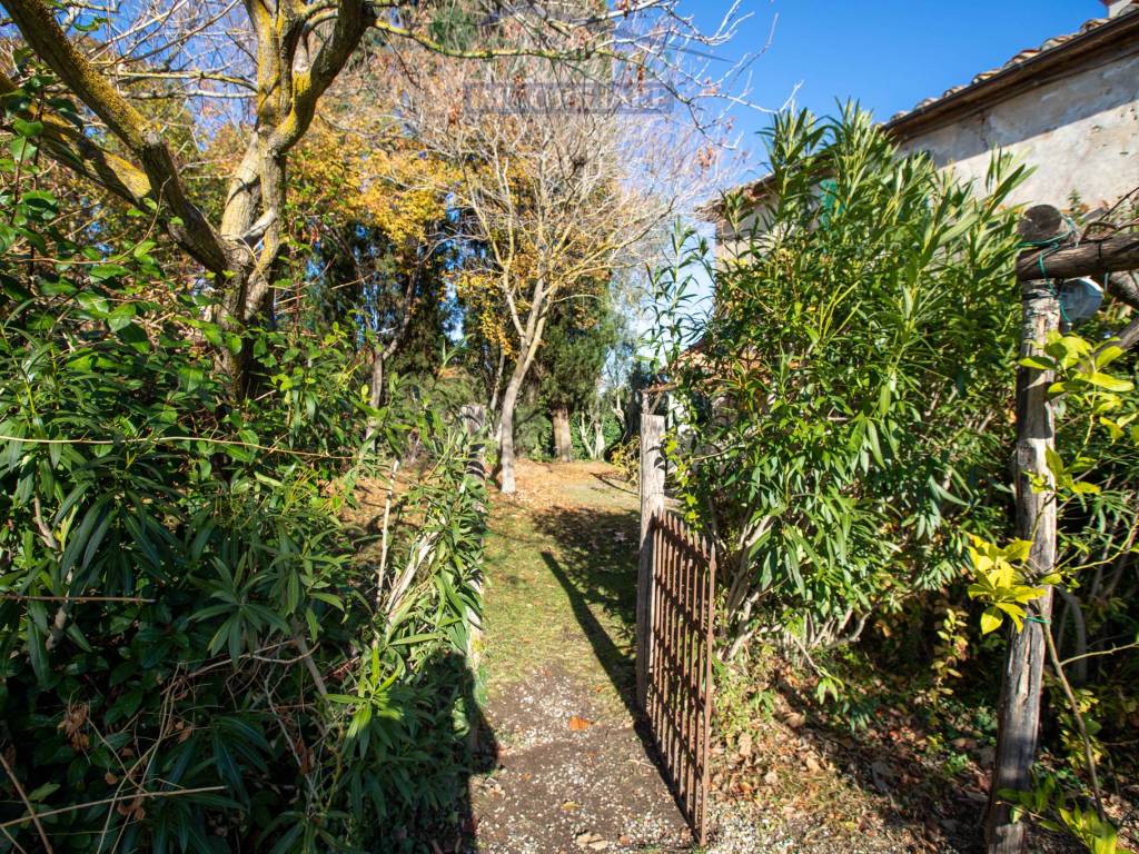 Rustico / casale a Capalbio in Strada Poggio la Pescia - Foto 5